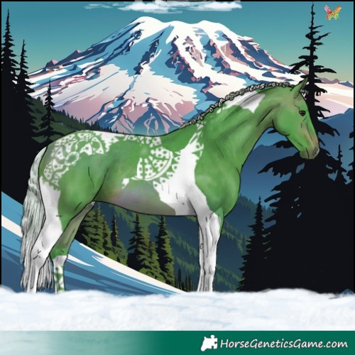 Horse Color:Watercolor Silver Brown Tobiano