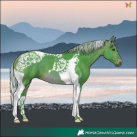 Horse Color:Watercolor Silver Brown Tobiano 