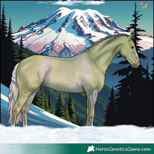 Horse Color:Watercolor Silver Black 