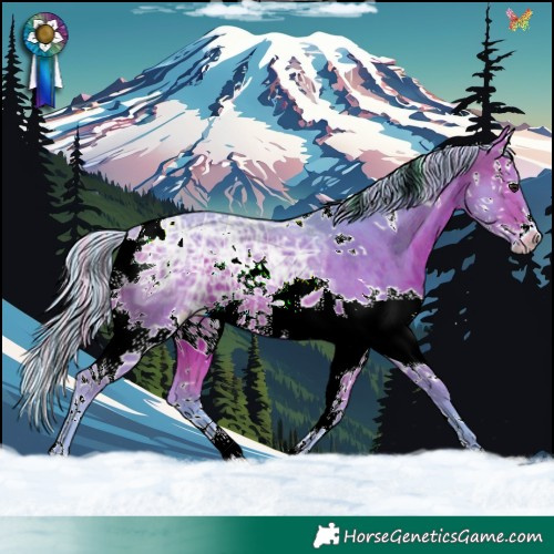 Horse Color:Painted Watercolor White Spotted Silver Brown Ice Splash