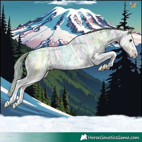 Horse Color:Watercolor White Spotted Silver Black Ice 