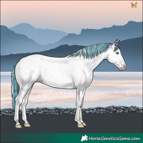 Horse Color:Painted Watercolor Gold Champagne Sabino Splash Tobiano