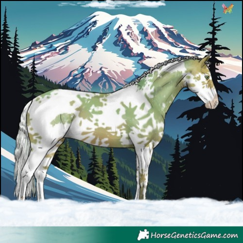 Horse Color:Watercolor Silver Amber Champagne Sabino Splash Tobiano
