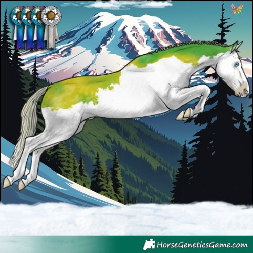 Horse Color:Watercolor Silver Brown Splash 