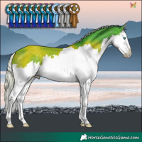 Horse Color:Watercolor Silver Brown Splash