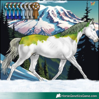 Horse Color:Watercolor Silver Brown Splash 