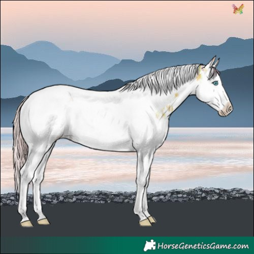 Horse Color:Watercolor White Spotted Liver Chestnut Ice Splash Tobiano 