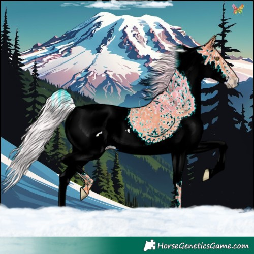 Horse Color:Watercolor Silver Amber Champagne Splash 