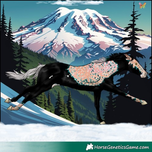 Horse Color:Watercolor Silver Amber Champagne Splash 