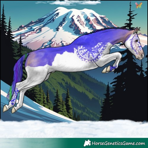 Horse Color:Painted Watercolor Buckskin Splash 