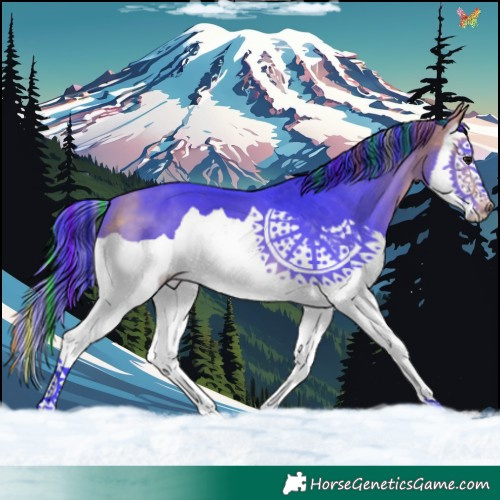 Horse Color:Painted Watercolor Buckskin Splash 