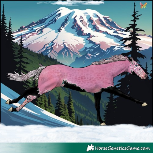 Horse Color:Watercolor Silver Black Splash 