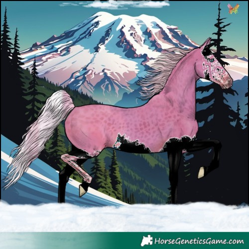 Horse Color:Watercolor Silver Black Splash