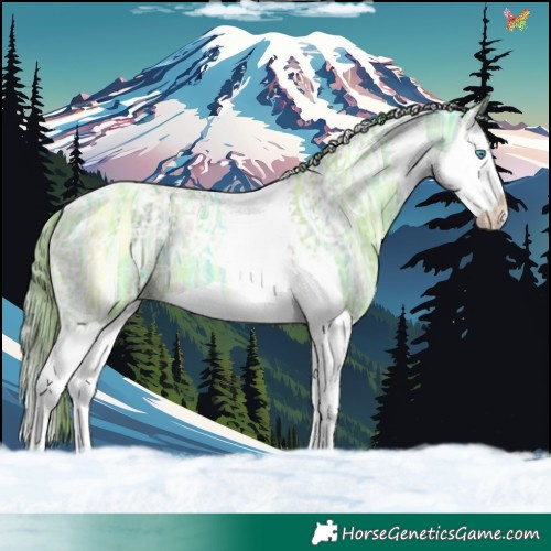 Horse Color:Watercolor Gold Champagne Ice Splash Tobiano 