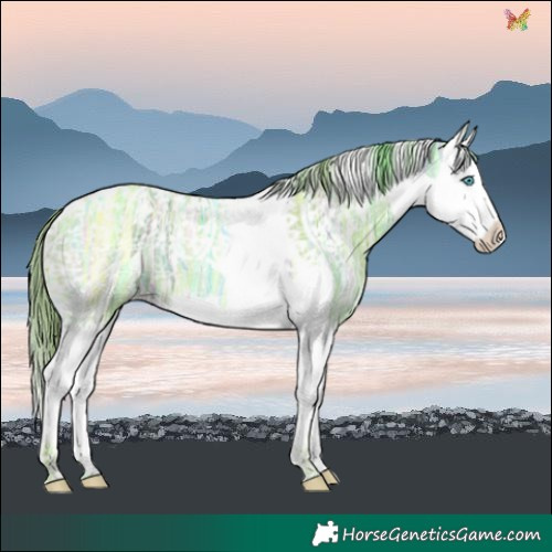 Horse Color:Watercolor Gold Champagne Ice Splash Tobiano 