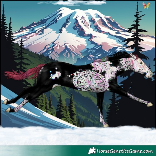 Horse Color:Watercolor White Spotted Liver Chestnut Ice Splash Tobiano