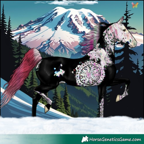 Horse Color:Watercolor White Spotted Liver Chestnut Ice Splash Tobiano 