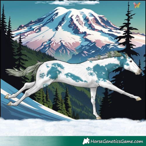 Horse Color:Watercolor White Spotted Liver Chestnut Splash Tobiano 