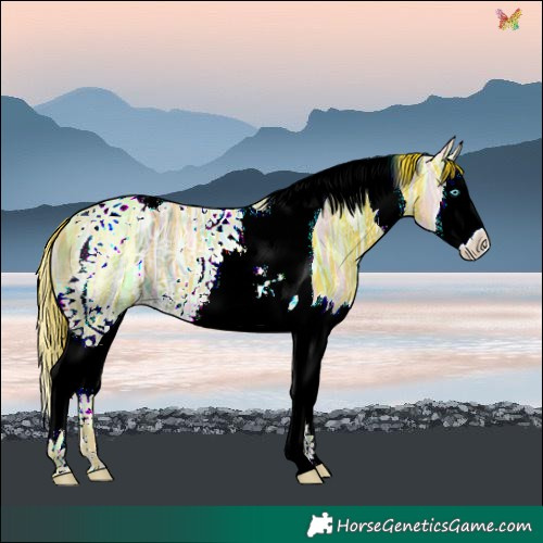 Horse Color:Watercolor Liver Chestnut Ice Splash Tobiano 