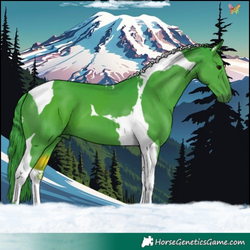 Horse Color:Watercolor Black Tobiano 