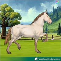 Horse Color:Brown Pearl Dun Skewed Appaloosa 