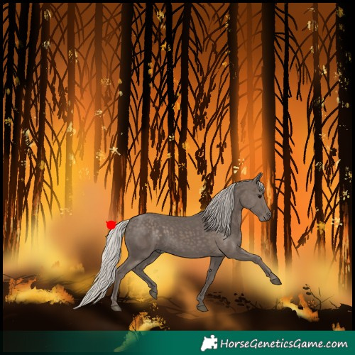 Horse Color:Silver Black 