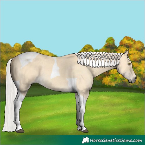 Horse Color:Silver Buckskin Dun Tobiano 