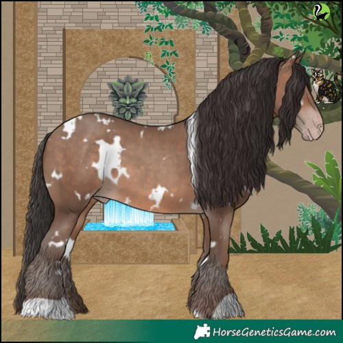 Horse Color:White Spotted Sable Champagne 