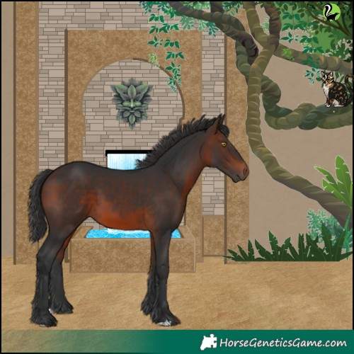 Horse Color:Brown 