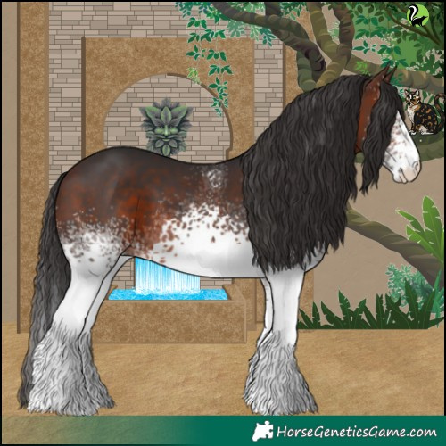 Horse Color:White Spotted Brown
