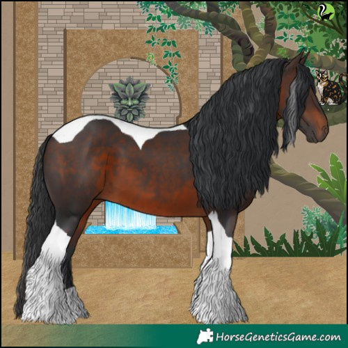 Horse Color:Brown Tobiano 