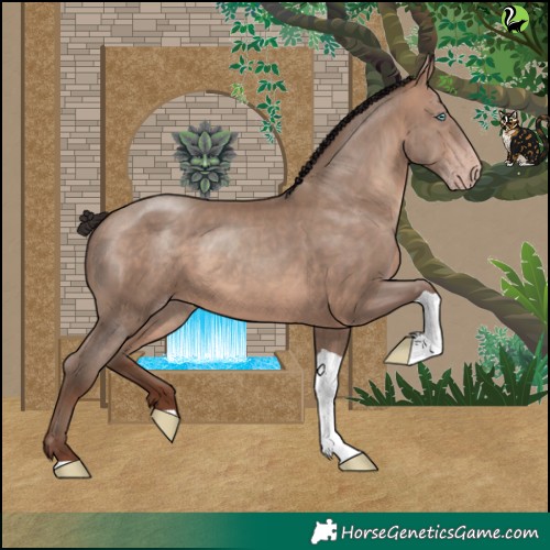 Horse Color:Sable Champagne Tobiano