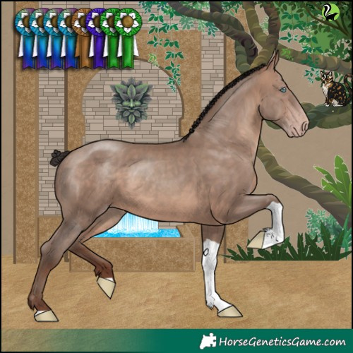 Horse Color:Sable Champagne Tobiano 