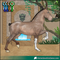 Horse Color:Sable Champagne Tobiano 