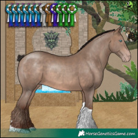 Horse Color:Sable Champagne Tobiano