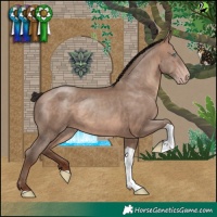 Horse Color:Sable Champagne Tobiano 