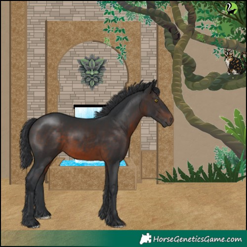 Horse Color:Brown 