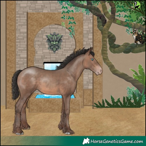 Horse Color:Sable Champagne