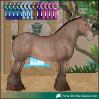 Horse Color:Sable Champagne  and Sable Champagne 