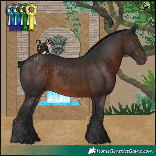 Horse Color:Brown  and Brown 
