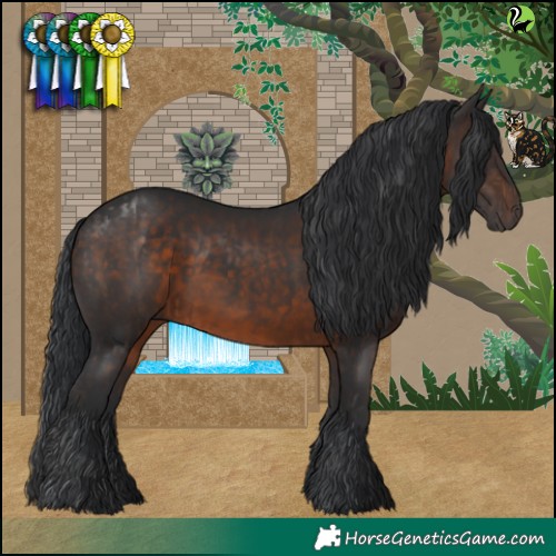 Horse Color:Brown  and Brown 