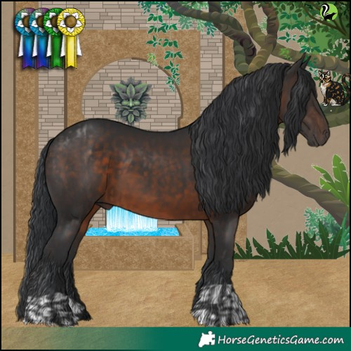 Horse Color:Brown  and Brown 