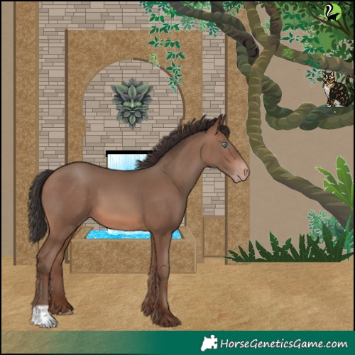 Horse Color:Sable Champagne 