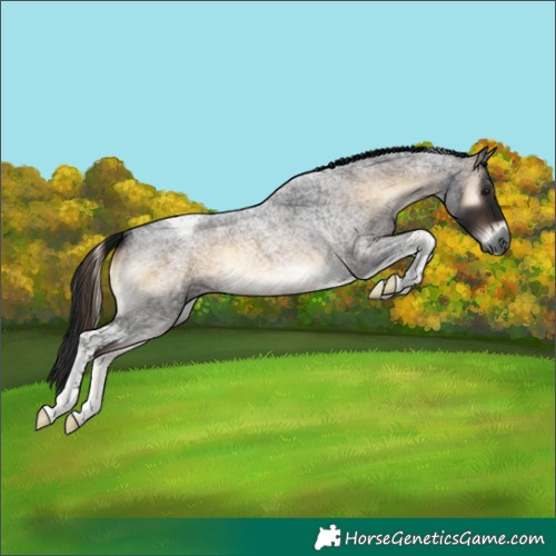 Horse Color:Gray Brown Roan Onyx Tobiano 