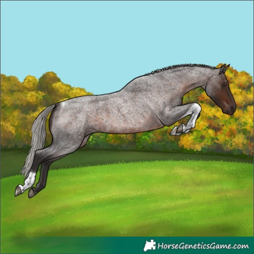 Horse Color:Silver Brown Roan Tobiano 