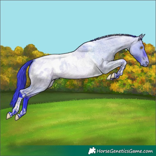 Horse Color:Watercolor Bay Roan Dun Tobiano Appaloosa 
