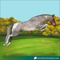 Horse Color:Silver Brown Roan Tobiano Rabicano