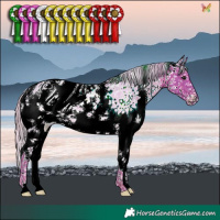 Horse Color:ERROR: UNKNOWN ANOMALY