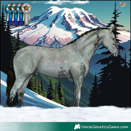 Horse Color:ERROR: UNKNOWN ANOMALY