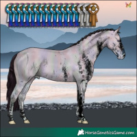 Horse Color:ERROR: UNKNOWN ANOMALY